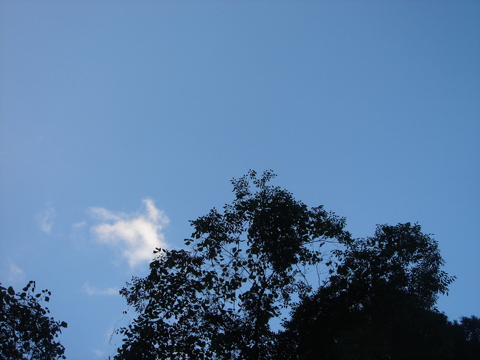 e0149092_22561866.jpg