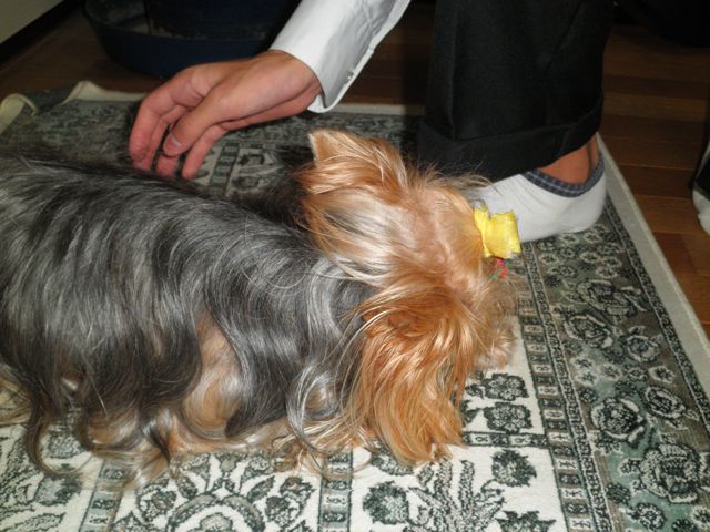 f0130894_21564426.jpg