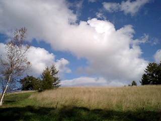 b0046200_1862990.jpg