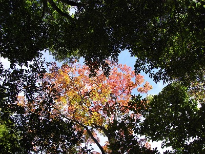 f0187402_20174240.jpg