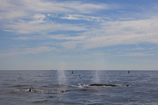 f0048405_10142194.jpg