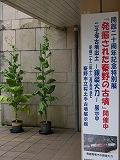 d0180506_2371325.jpg