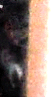 e0103408_14404697.gif