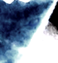 e0103408_14513574.gif