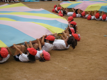 c0145209_80157.jpg