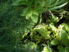 c0190010_15572495.jpg