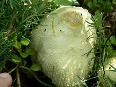 c0190010_15573533.jpg