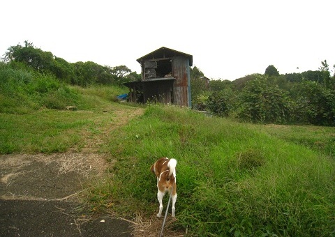 c0084117_14195839.jpg