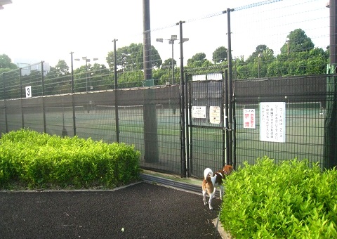 c0084117_1422192.jpg