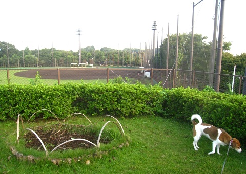 c0084117_1422353.jpg