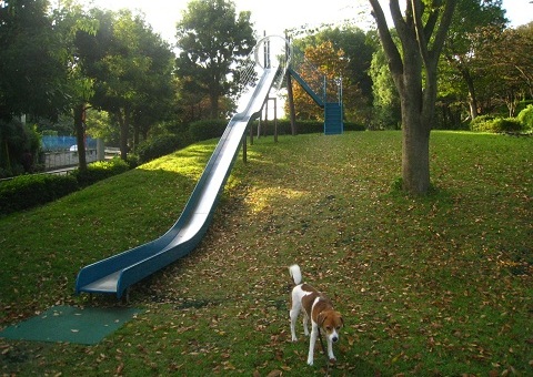 c0084117_1423911.jpg