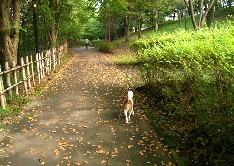 c0084117_1429959.jpg