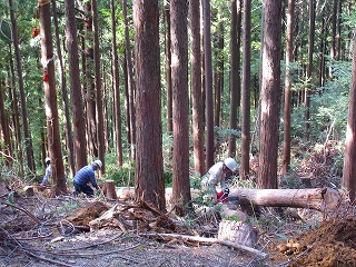 e0002820_2342422.jpg