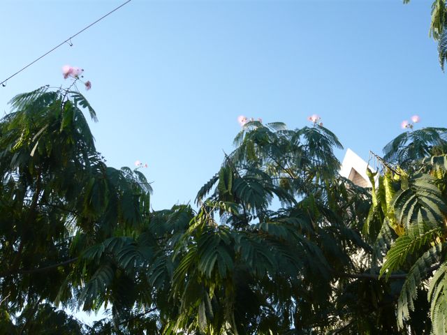 e0111220_16564920.jpg