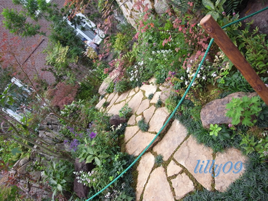 c0198321_21425340.jpg