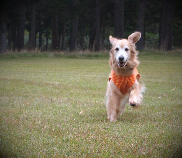 f0227228_20101677.jpg