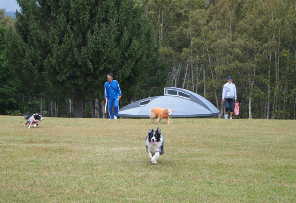 f0227228_20135772.jpg