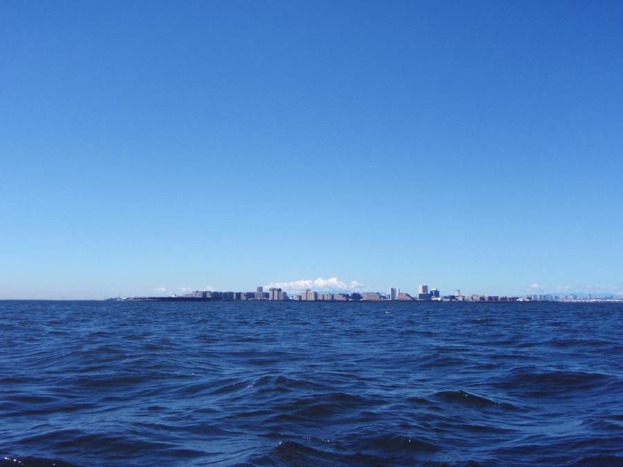 b0173629_17432665.jpg