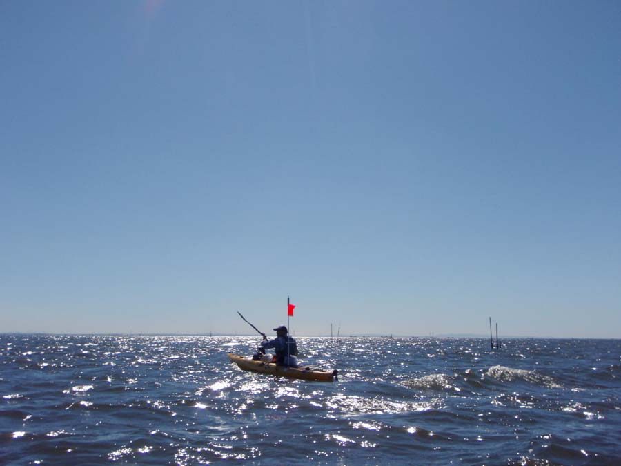 b0173629_17582297.jpg