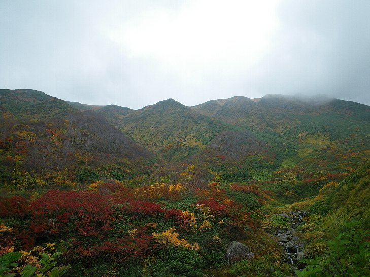 f0118332_08719.jpg