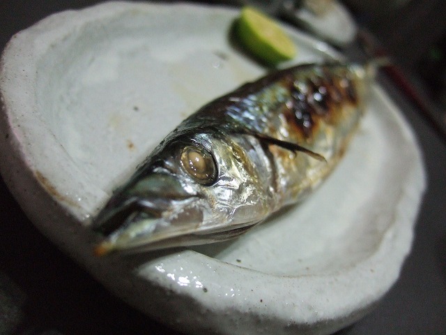 c0208836_21335553.jpg