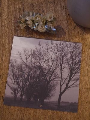 f0193737_1757876.jpg