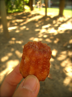 b0209944_1631550.jpg