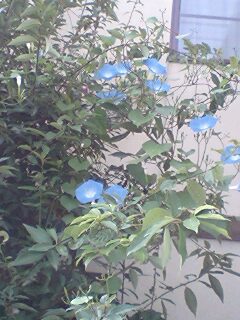 c0011446_21481638.jpg