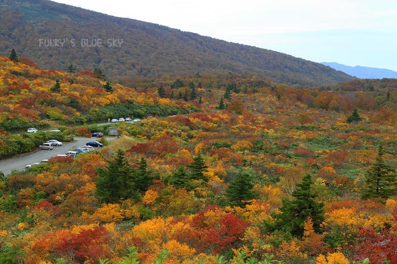 c0145250_17224255.jpg
