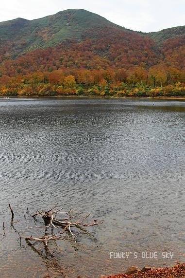 c0145250_17331252.jpg