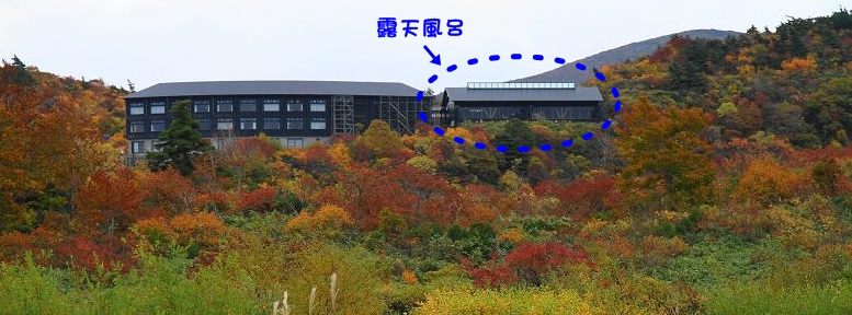 c0145250_174154.jpg