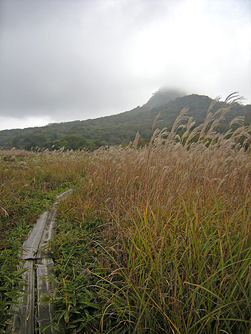 a0001354_20314644.jpg