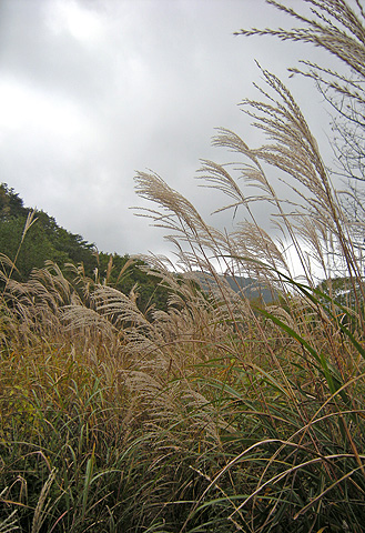 a0001354_2032132.jpg