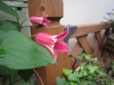 c0202870_8472253.jpg