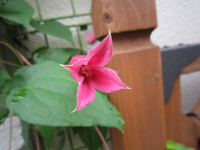 c0202870_847940.jpg