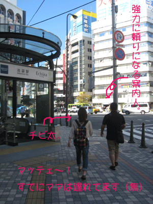 d0050871_11431525.gif