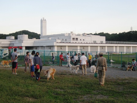f0230380_19453912.jpg
