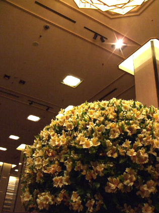 f0039281_1195935.jpg