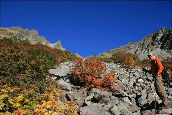 c0171790_1341333.gif