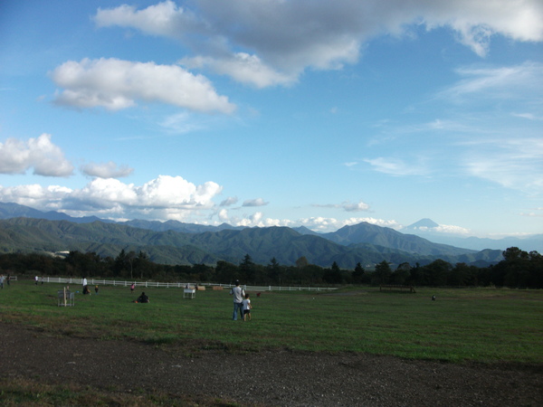 d0118592_1051481.jpg