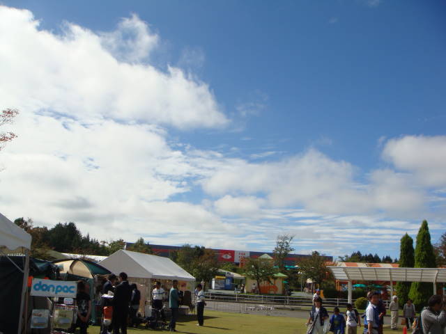 d0098295_0202274.jpg