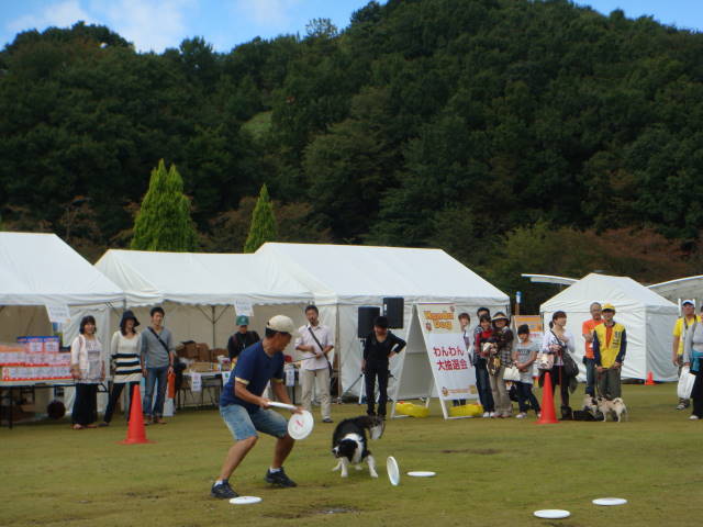 d0098295_0283740.jpg