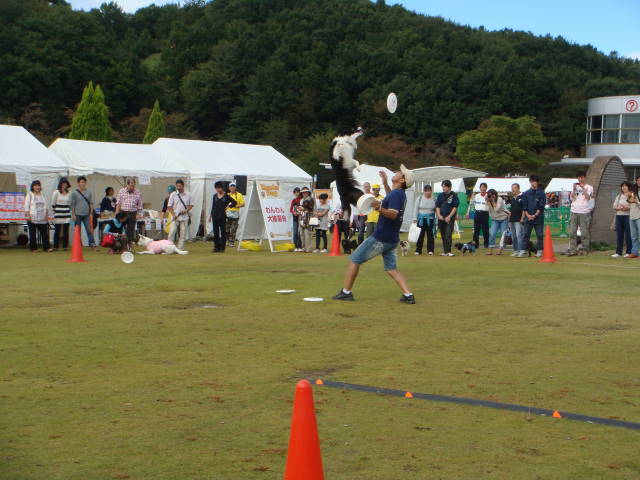 d0098295_0285939.jpg