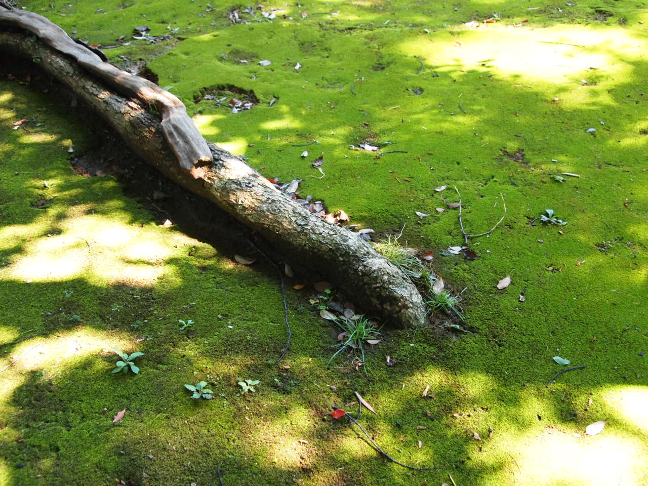 f0236201_10342658.jpg