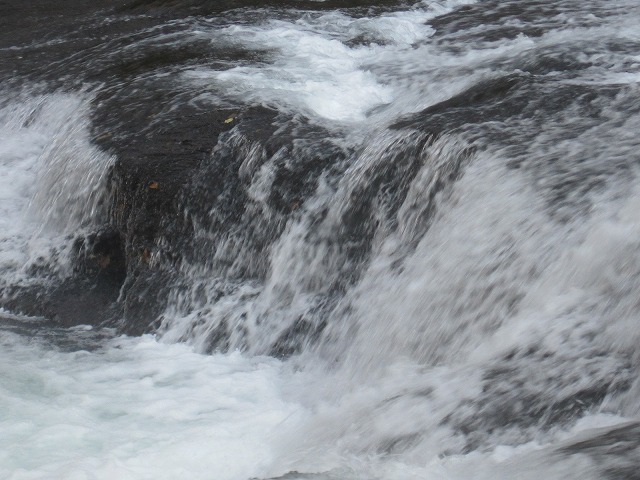 f0202703_8494227.jpg