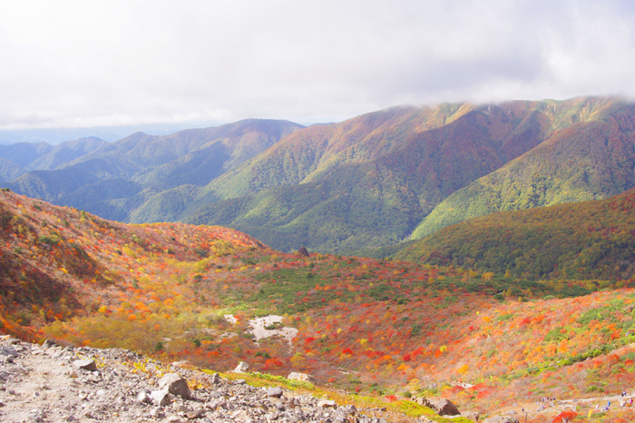 e0125305_22311640.jpg