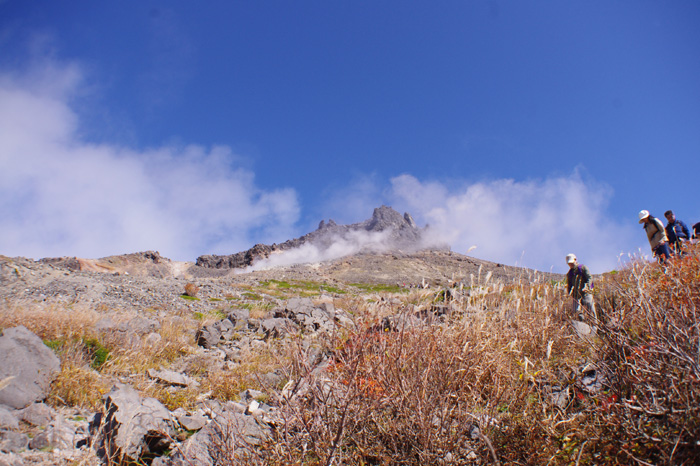e0125305_2247943.jpg