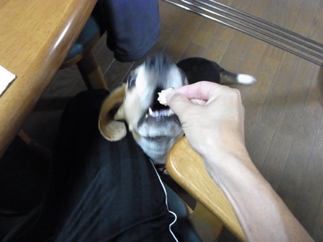 c0205806_2012090.jpg