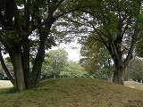 d0180506_06297.jpg
