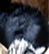 e0103408_13344163.gif